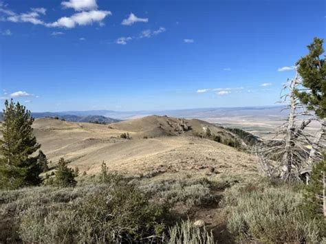 Best Hikes And Trails In Alturas Alltrails