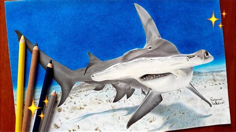 Cómo Dibujar Un Tiburón Con Lápices De Colores Dibujos De Tiburón