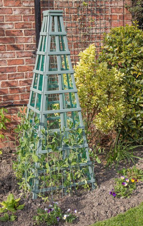 Sweet Peas Garden Trellis Flower Trellis Climbing Trellis