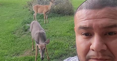 Deer Selfie Album On Imgur