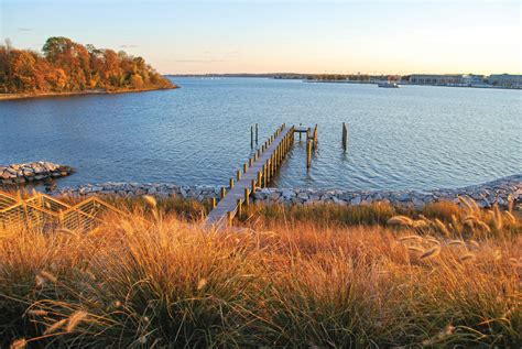 Harvesting The Edges Of The Chesapeake Bay Annapolis Home Magazine