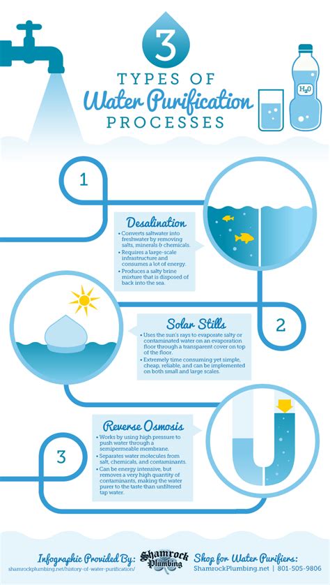 History Of Water Purification Water Purification Process Infographic