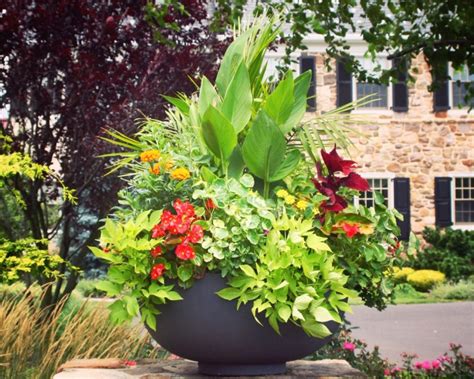 How To Create Beautiful Container Gardens The Scout Guide