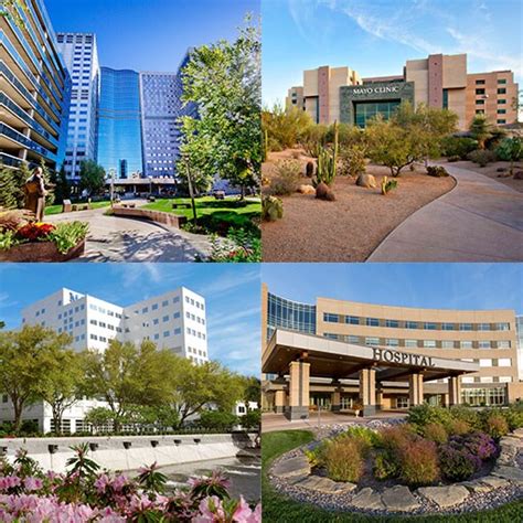 Campus And Community Mayo Clinic College Of Medicine And Science