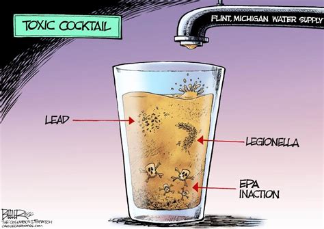 Cartoons Flint Michigan Water Crisis East Bay Times