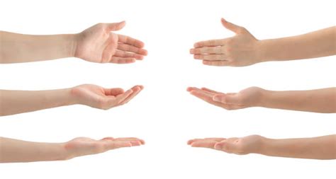 Hands Cupped Stock Photos Pictures And Royalty Free Images Istock