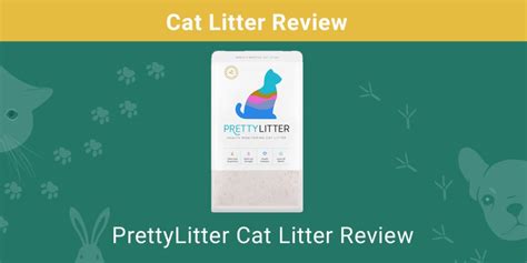Prettylitter Cat Litter Review 2022 Pros Cons And Verdict Pet Keen