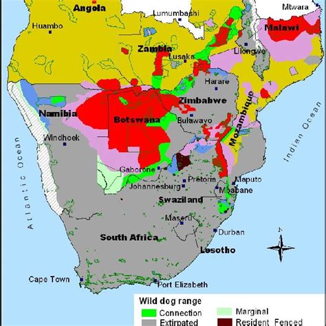 Distribution Of Wild Dogs Outside Of Protected Areas In South Africa