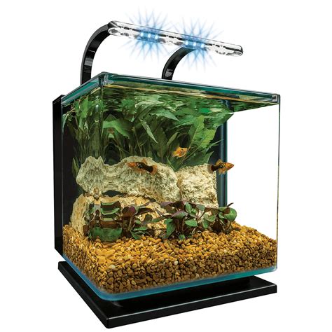 10 Best Small Saltwater Fish Tanks Aquariumdimensions