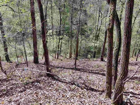 3 Acres Of Residential Land For Sale In Demorest Georgia LandSearch