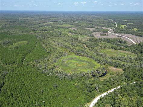 Vac NE 876th Ave, Old Town, FL 32680 | Land and Farm