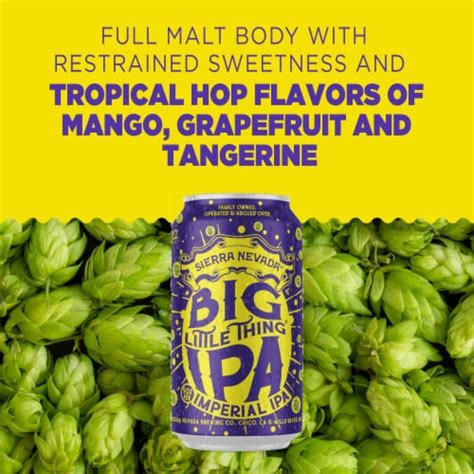 sierra nevada brewing co big little thing imperial ipa beer 6 cans 12 fl oz fred meyer