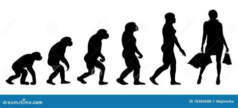 Evolution Of Woman Human Growth Cartoon Business Human And Primitive