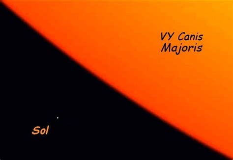 O Sol Comparado A Vy Canis Majoris A Maior Estrela Conhecida Matéria
