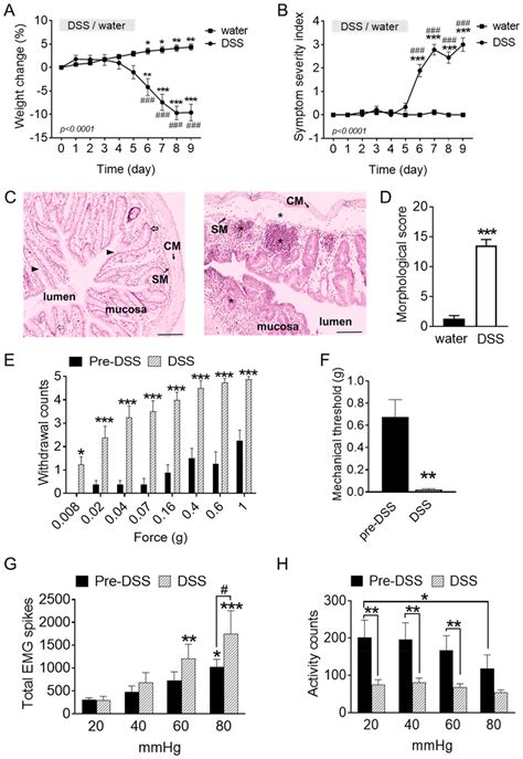 Visceral Hypersensitivity In The Dss Induced Colitis Mice A Gradual