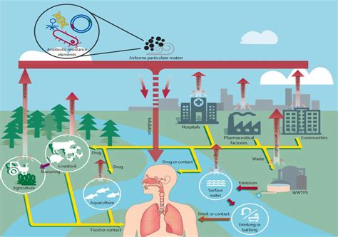Ameaça à saúde humana poluição do ar pode aumentar a resistência a