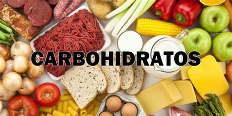 CARBOHIDRATOS Qué son función tipos importancia y más