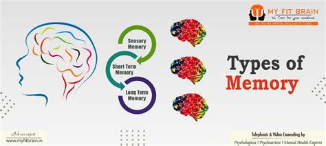 Types Of Memory Review Of The Decade My Fit Brain