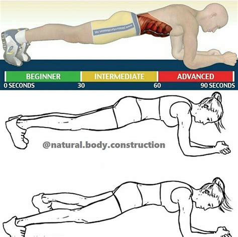 Plank Primary Muscles Group Fitnessology