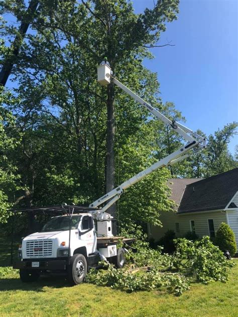 Tree Services Crane Rentals Arborist — Cts
