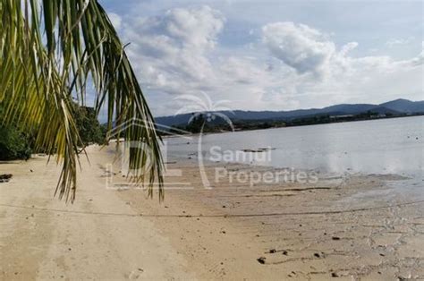 Villa To Renovate With A Very Large Beachfront In Plaem Koh Samui Thailand Villa For Sale In