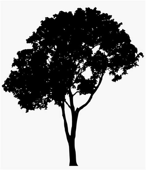 Download Free Png Tree Silhouette Png Images Transparent Tree Silhouette Vector Png