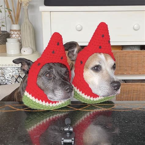 Its Officially Summer So I Made My Dogs Watermelon Hats Crochet