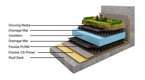 Green Roof Construction Home Design Ideas