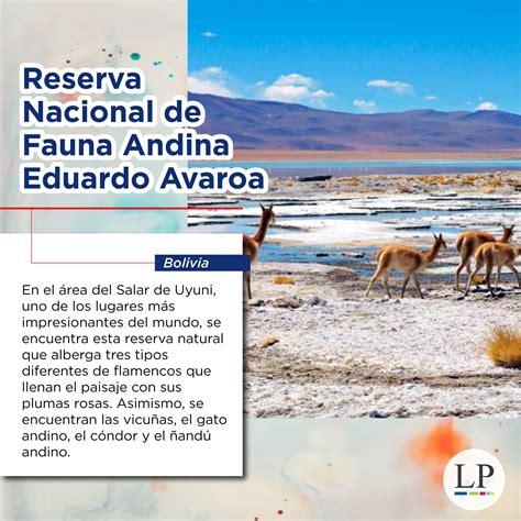 Galería 8 Mejores Parques Naturales Para Ver Animales En Latinoamérica