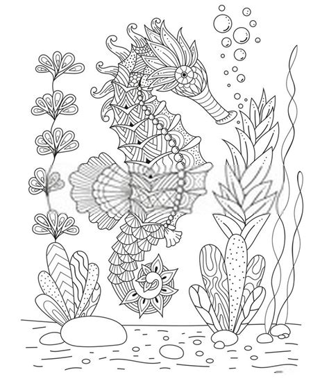 Ocean Coloring Book For Adults Sea Creatures Life Ocean Magic Life