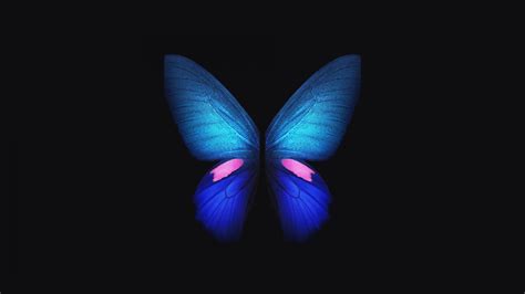 Samsung Galaxy Fold Blue Butterfly 4k Wallpapers Hd Wallpapers Id