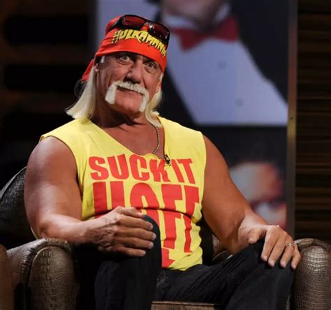 Top Ten Things Rumored To Be In Hulk Hogans Sex Tape