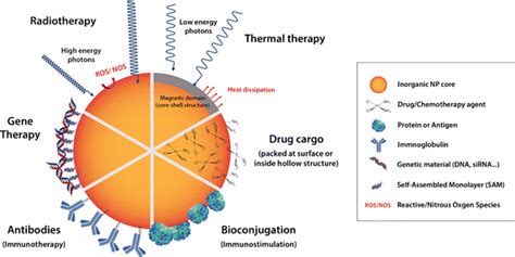Schematic Representation Of Different Cancer Treatment Modalities That