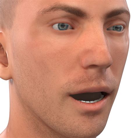 Caucasian Male Head Rigged For Maya 3d Model 79 Ma Free3d