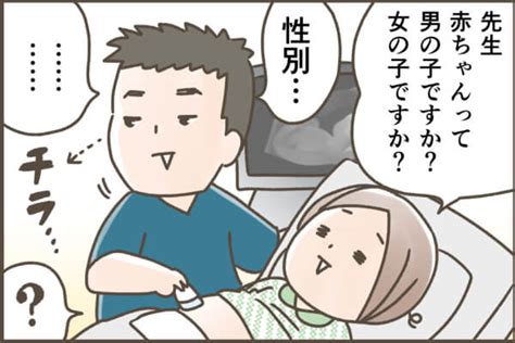 生まれる前に赤ちゃんの性別は教えられない 産婦人科のウラ事情 By ナコ みんなの体験記【妊娠・出産・育児】