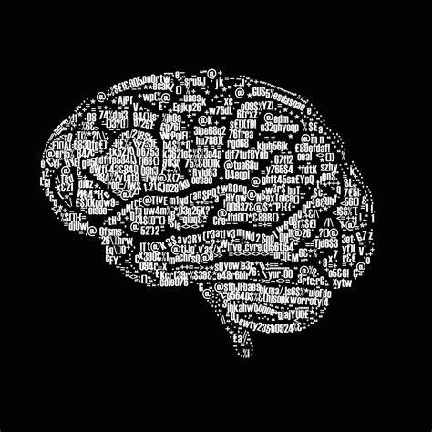 Brain Anatomy Wallpapers Wallpaper Cave