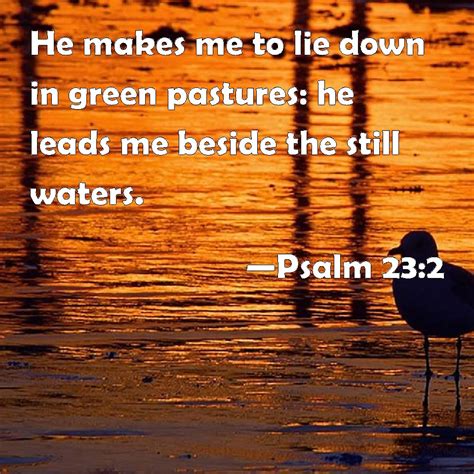 Psalm 232 He Makes Me To Lie Down In Green Pastures He Leads Me