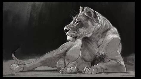 Speed Paint Lioness Drawing Youtube