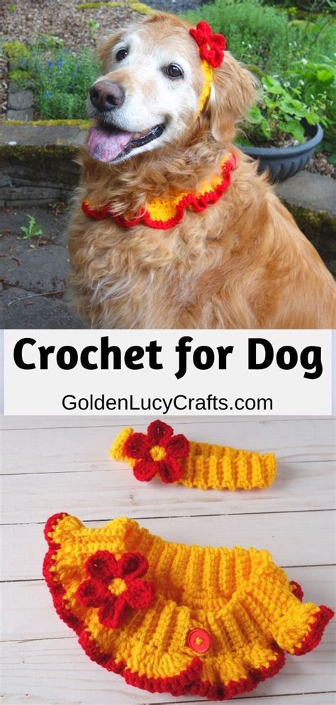 Crochet Dog Collar And Headband Free Crochet Pattern