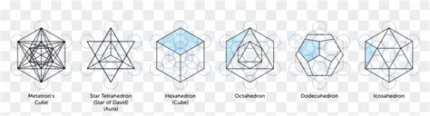 Metatron Solids Platonic Solids In Metatrons Cube Hd Png Download
