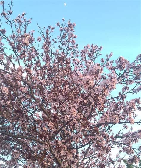 ¡en mi casa mi familia esta lavando su cara con esto después que una prima elimino manchas y arrugas. Qué paseo más bonito y agradable esta tarde! Llego a casa ...