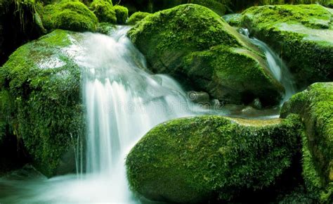 Peaceful Nature Green Cascading Waterfall Stock Image Image Of