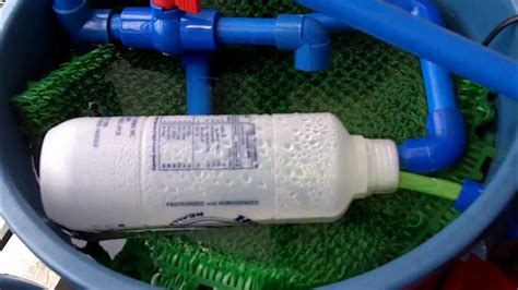 Aquaponics In Recycled 2 Litre Bottles Youtube