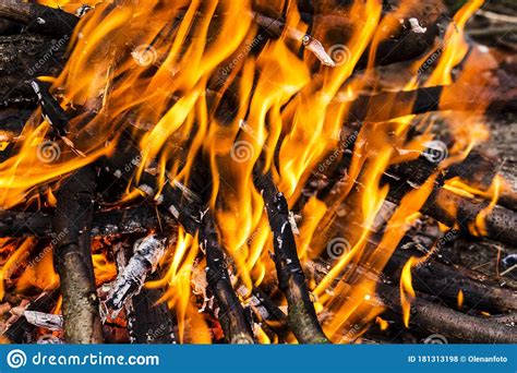 Closeup Of Blazing Campfire Campfire Burning Logs In Large Orange And