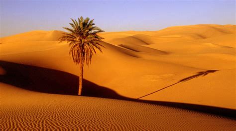 Casablanca Desert Tour To Erg Chebbi Dunes (4 To 10 Days) - Top Desert