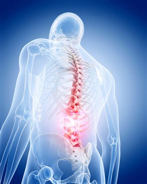 The Lumbar Spine Anatomy Function And Common Injuries Spine Center