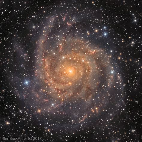 The Hidden Galaxy Ic 342 Astronomy Magazine Interactive Star
