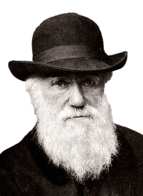 Charles Darwin Wearing A Hat Icons Png Free Png And Icons Downloads
