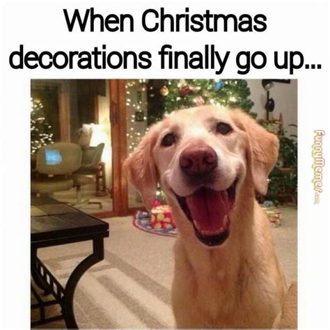 When Christmas Decorations Finally Go Up Pictures