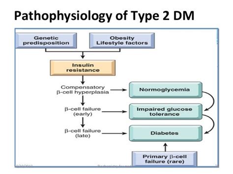 Pathogenesis And Pathophysiology Of Type 1 And Type 2 Diabetes Mellitus